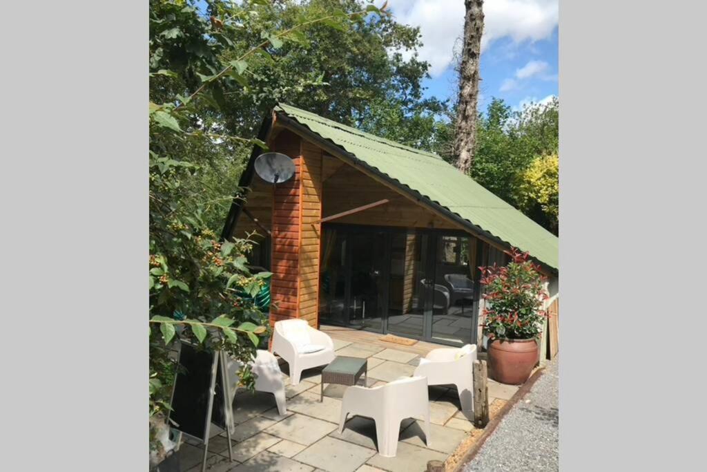 The Shed . A Cosy, Peaceful, 96% Recycled, Chalet. Swansea Buitenkant foto