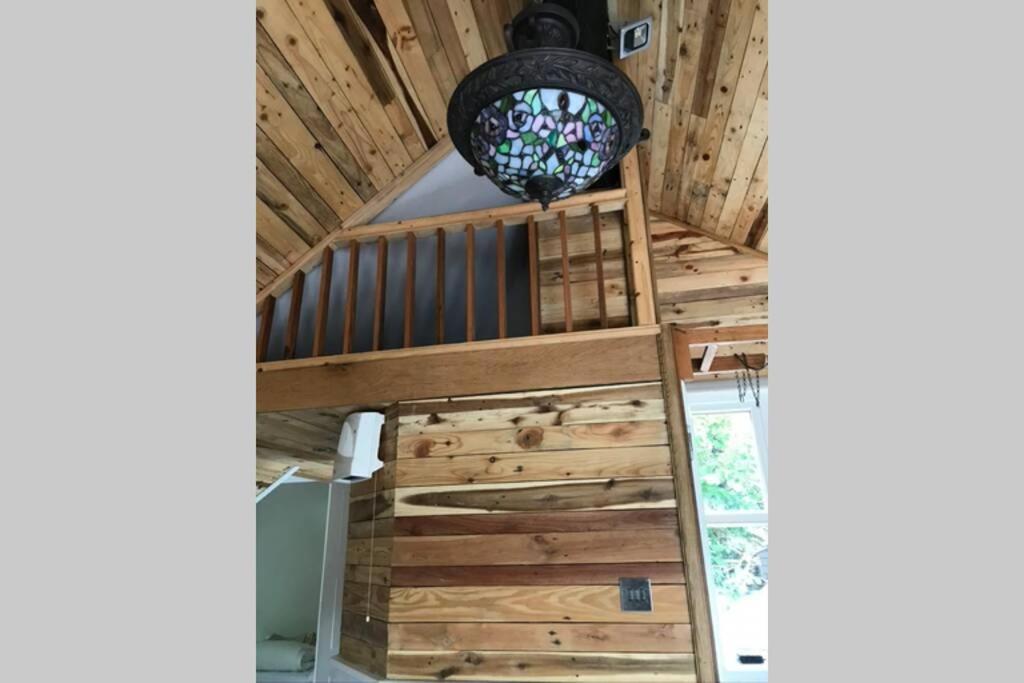 The Shed . A Cosy, Peaceful, 96% Recycled, Chalet. Swansea Buitenkant foto