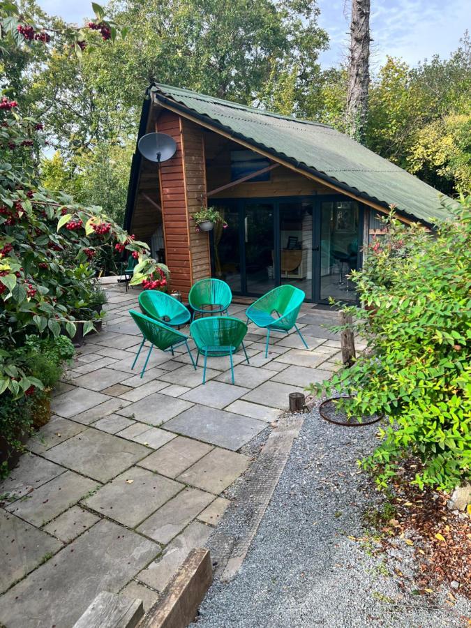 The Shed . A Cosy, Peaceful, 96% Recycled, Chalet. Swansea Buitenkant foto